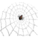 web designer